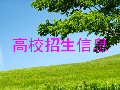 高校招生信息