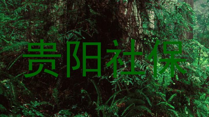 贵阳社保