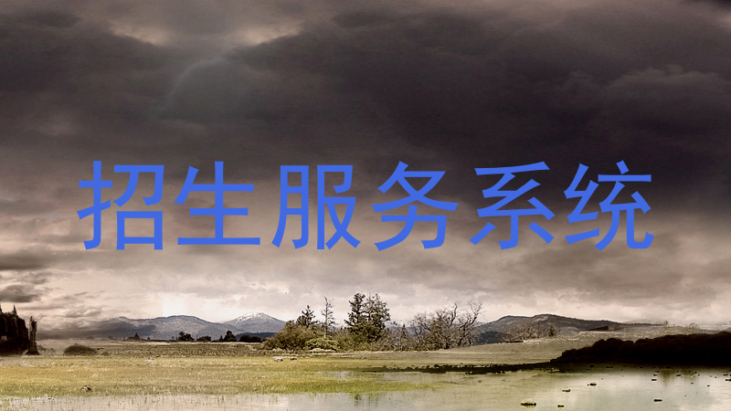 招生服务系统