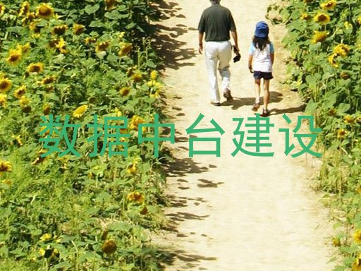 数据中台建设
