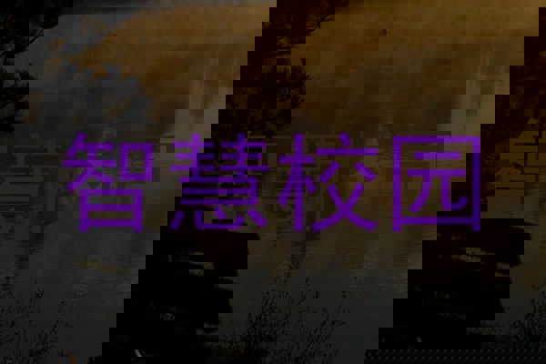 智慧校园