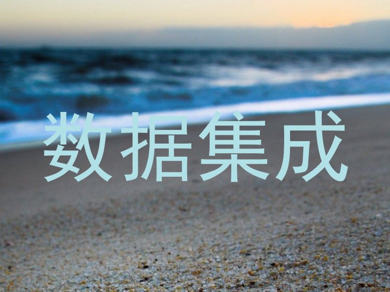 数据集成