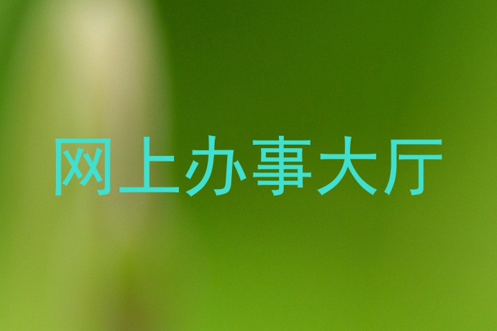 网上办事大厅