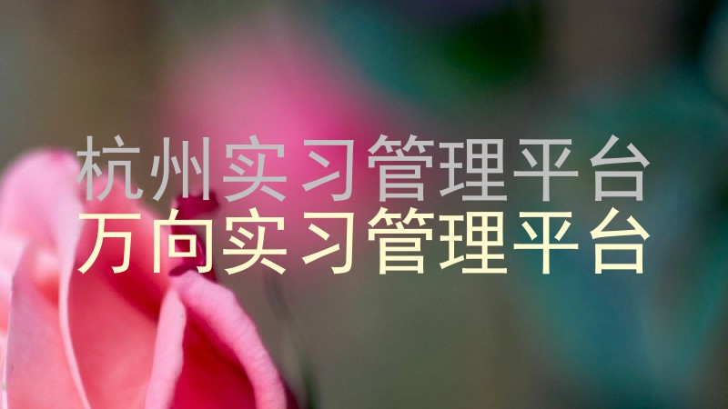 杭州实习管理平台