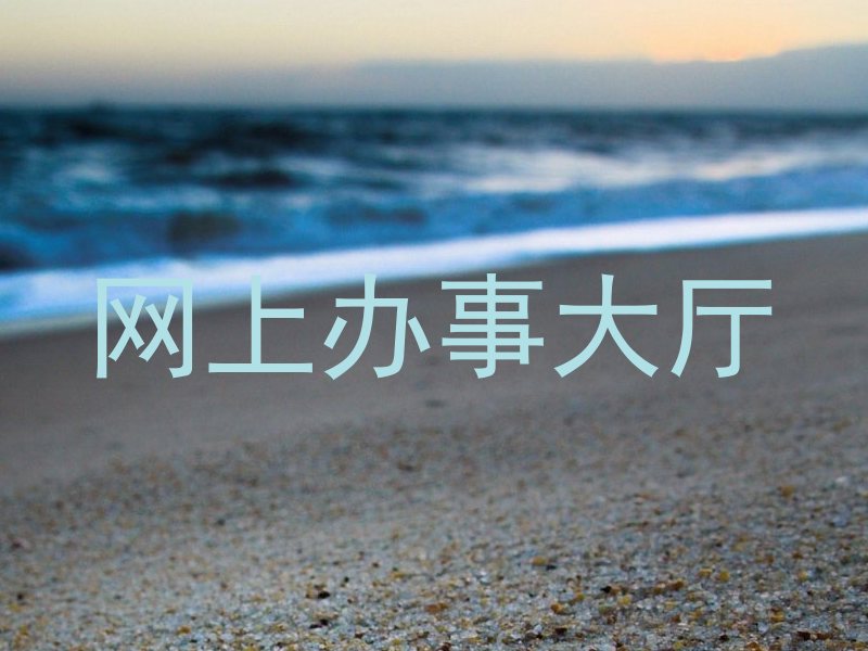网上办事大厅