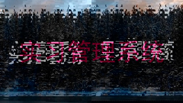 实习管理系统