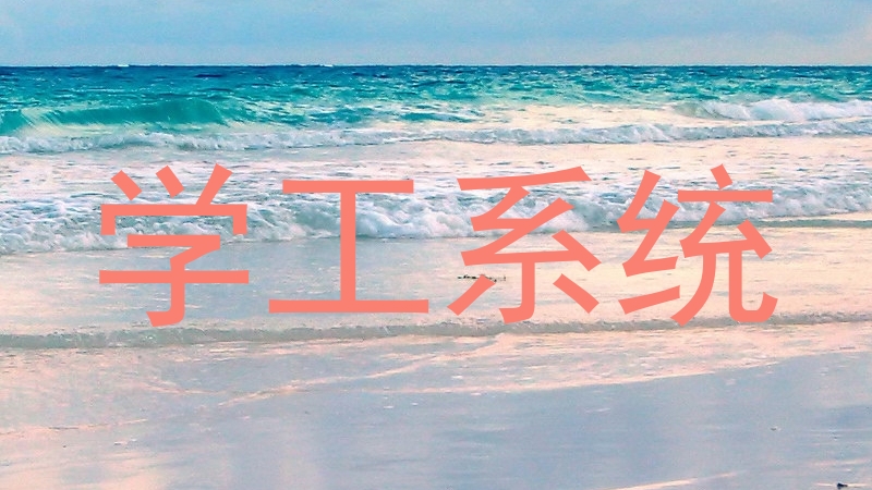 学工系统