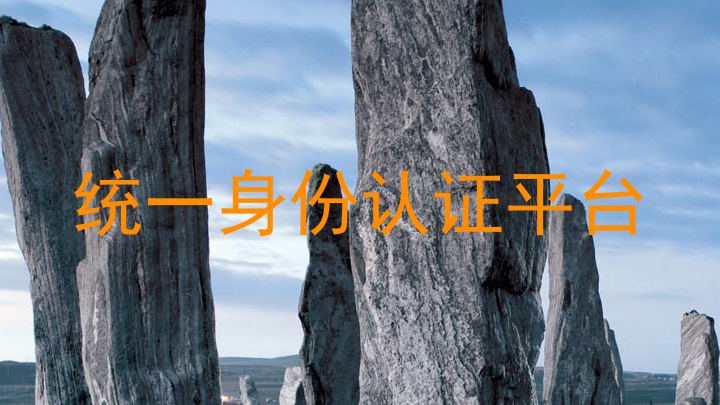 统一身份认证平台