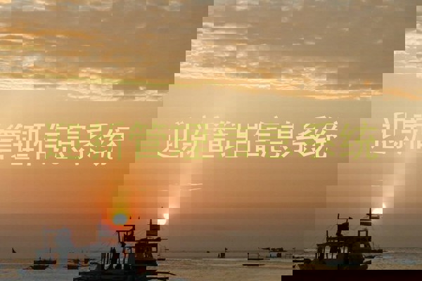 迎新管理信息系统