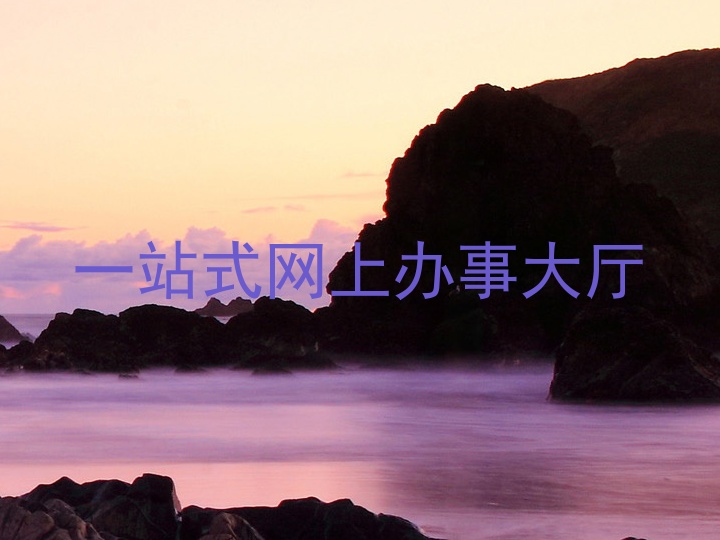 一站式网上办事大厅