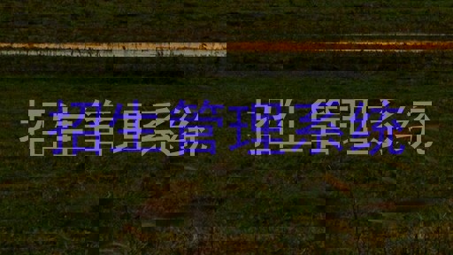 招生管理系統(tǒng)