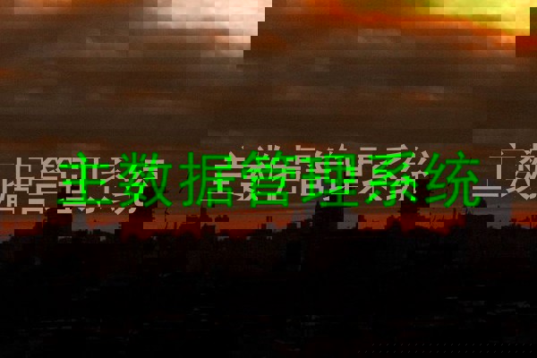 主数据管理系统