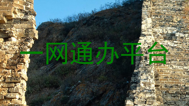一网通办平台