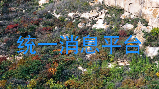 統(tǒng)一消息平臺