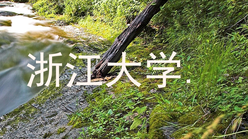 浙江大学.