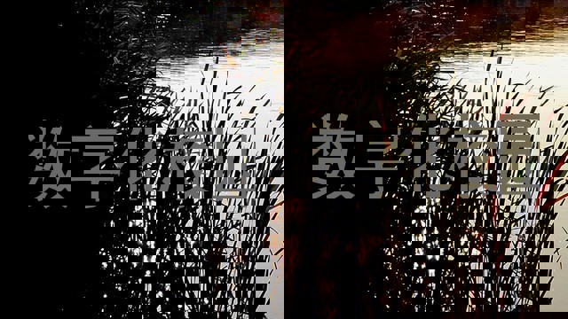 数字化校园