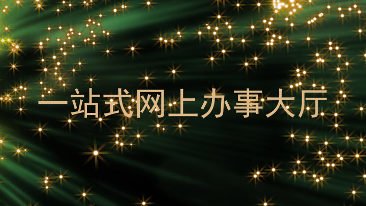 一站式网上办事大厅