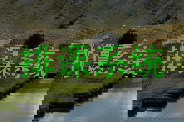 排课系统