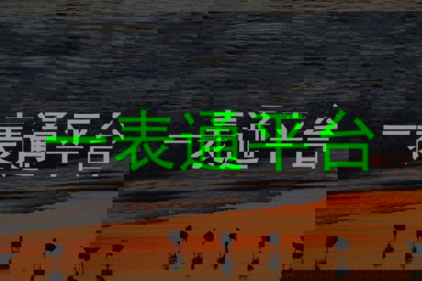 一表通平台