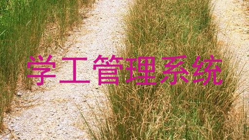 学工管理系统