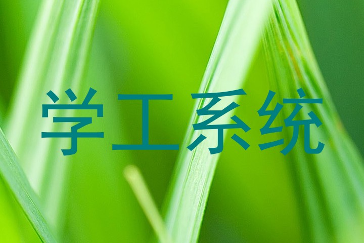 学工系统