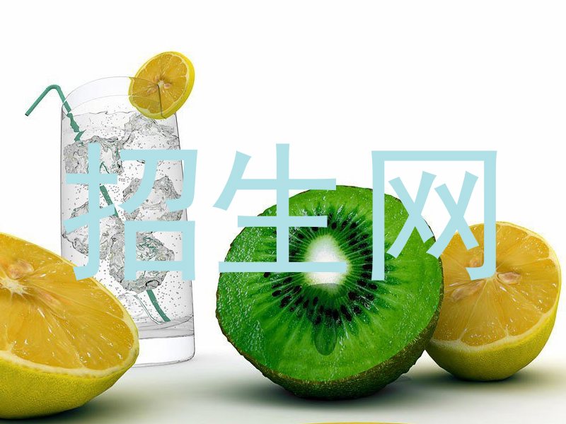 招生网
