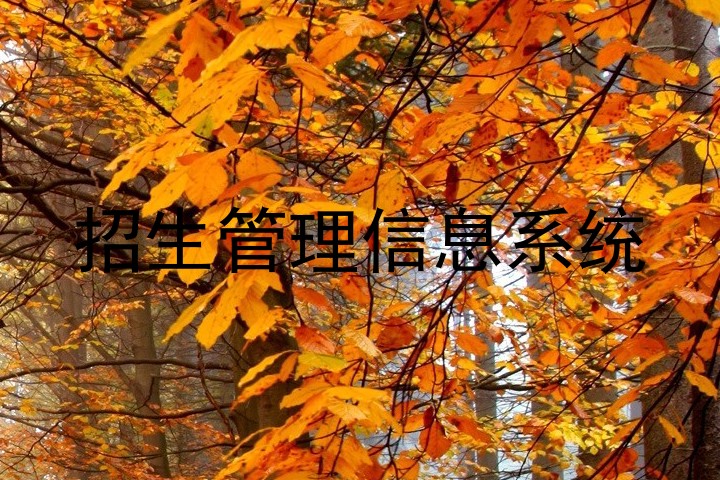 招生管理信息系統(tǒng)