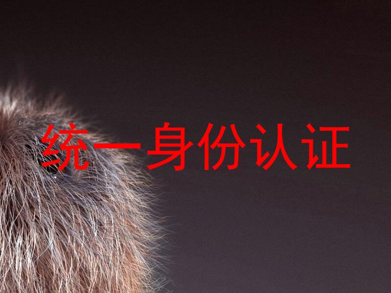 统一身份认证