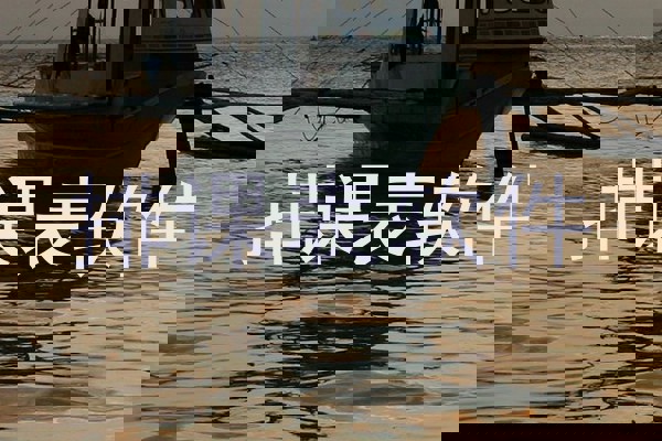 排课表软件