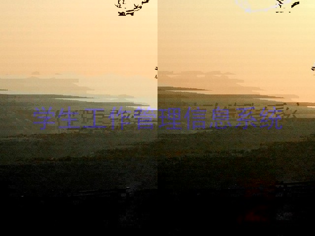 学生工作管理信息系统