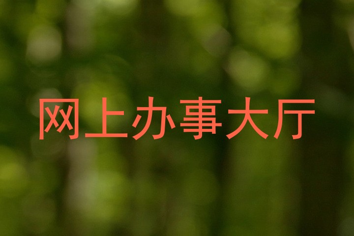 网上办事大厅
