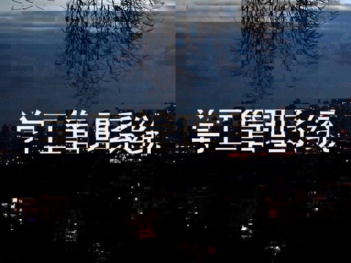 学工管理系统