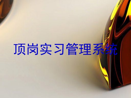 顶岗实习管理系统
