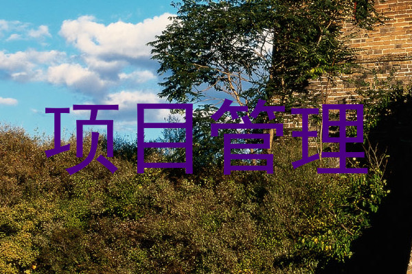 项目管理