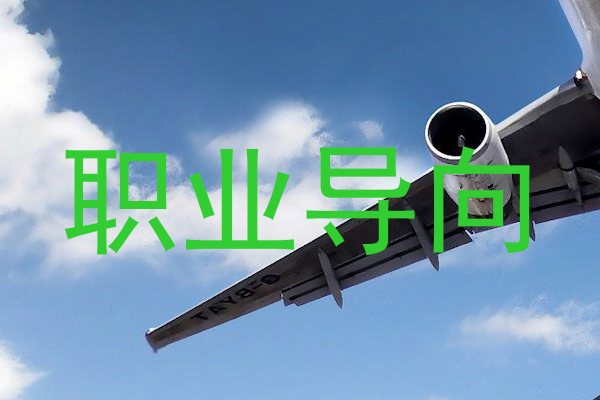 职业导向
