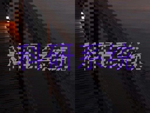 科研系统