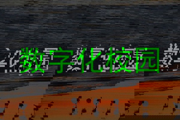 数字化校园