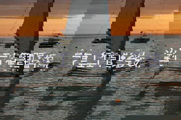 学生工作管理系统