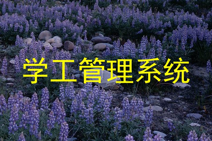 学工管理系统