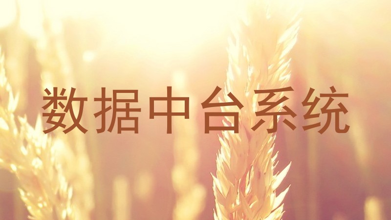 数据中台系统