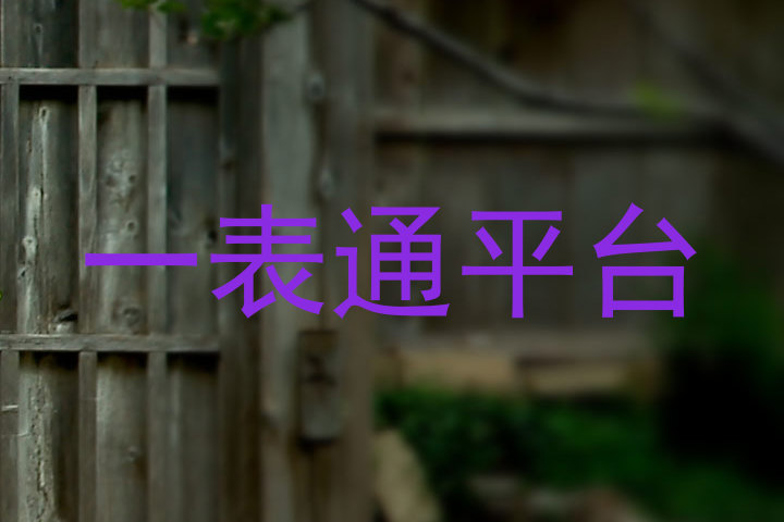一表通平台