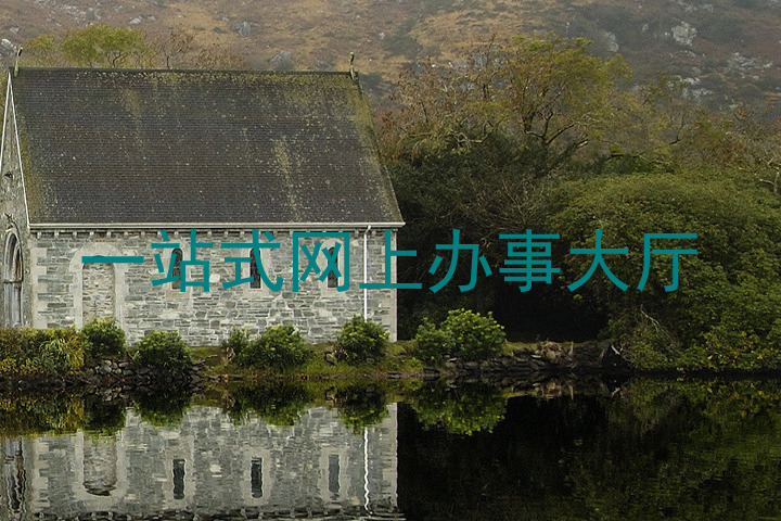 一站式网上办事大厅