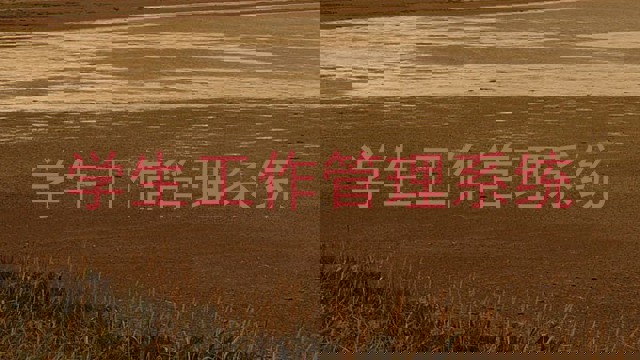 学生工作管理系统