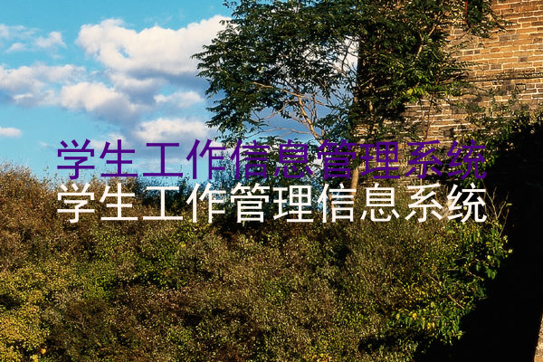 学生工作信息管理系统