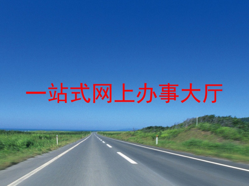 一站式网上办事大厅