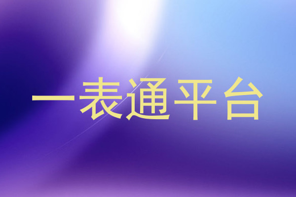 一表通平台