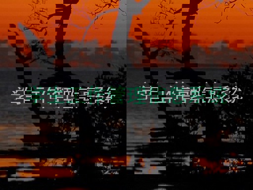 学生工作管理信息系统