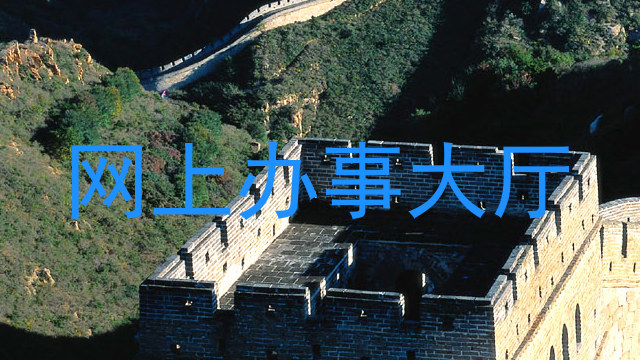 网上办事大厅