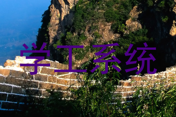 学工系统