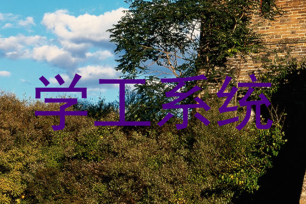 学工系统